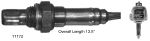 Oxygen Sensor